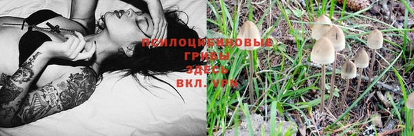 амф Алексин