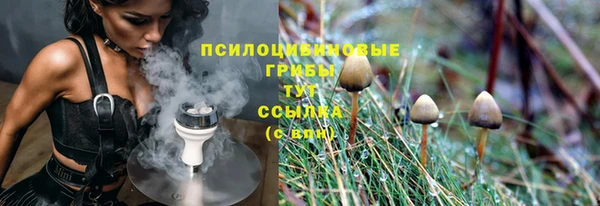 ALPHA-PVP Алексеевка