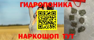 первитин Можга