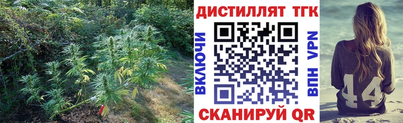 Дистиллят ТГК Wax  Тейково 