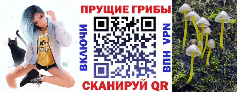 Псилоцибиновые грибы мицелий  цены   blacksprut вход  Тейково 