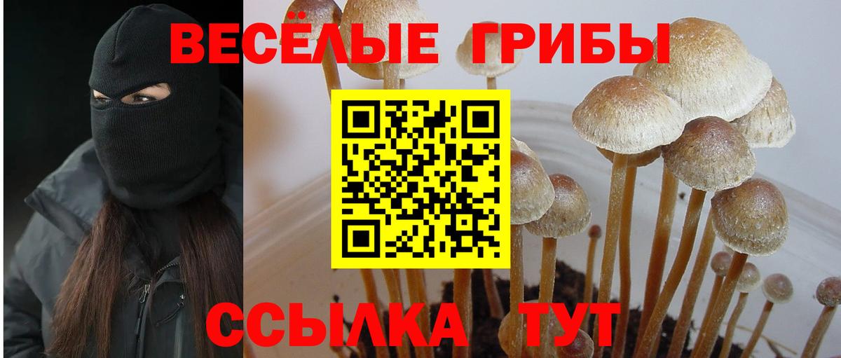 Галлюциногенные грибы Magic Shrooms Тейково