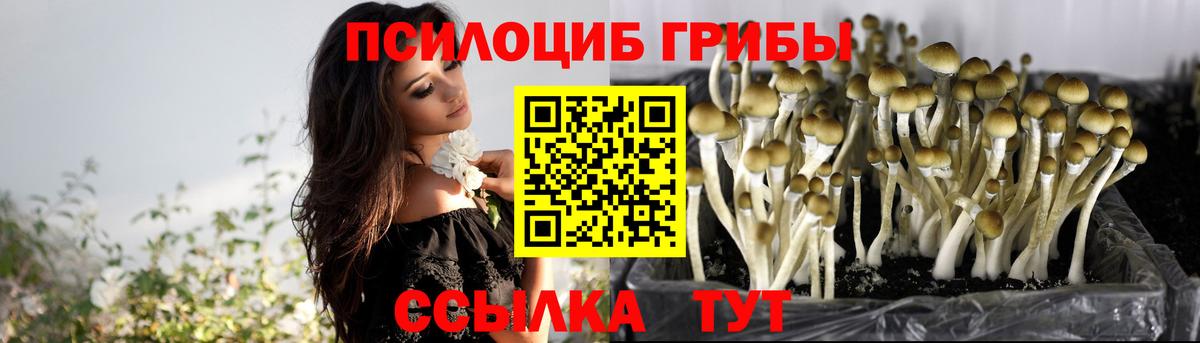Тейково  Псилоцибиновые грибы GOLDEN TEACHER  Вход с VPN 